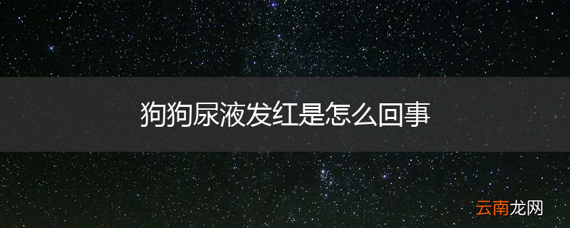 狗狗尿液发红是怎么回事