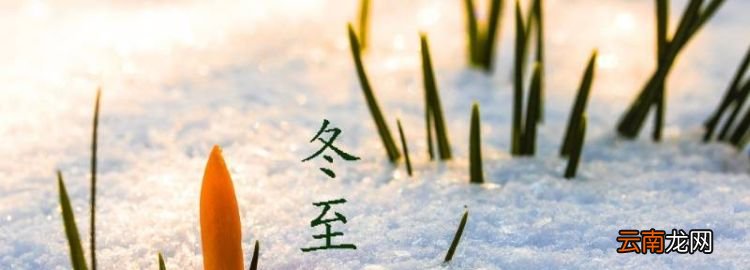 进九是哪一天，今年农历进九什么时候