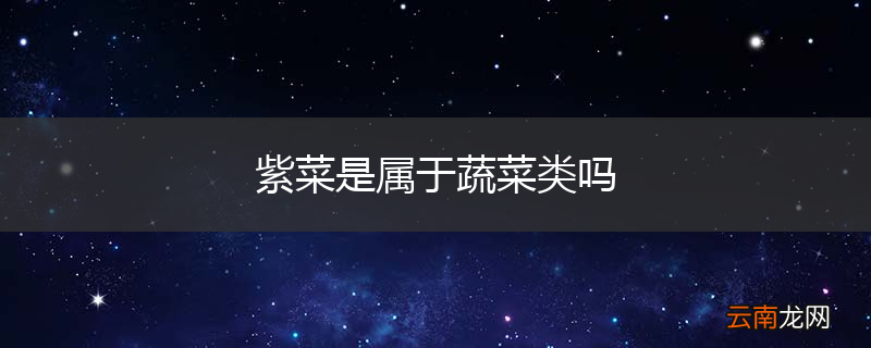紫菜是属于蔬菜类吗