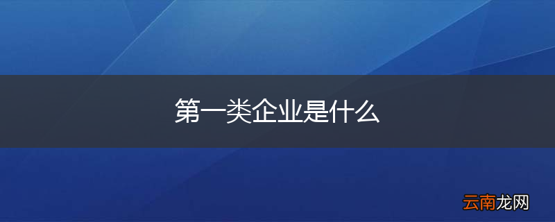 第一类企业是什么