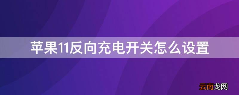 iPhone11反向充电开关怎么设置 苹果11怎么反向充电用开什么设置