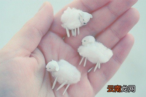 2 婴儿腹泻的原因