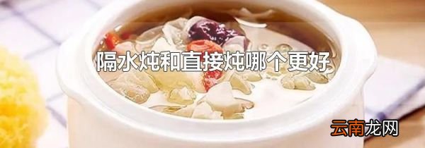 隔水炖和直接炖哪个更好