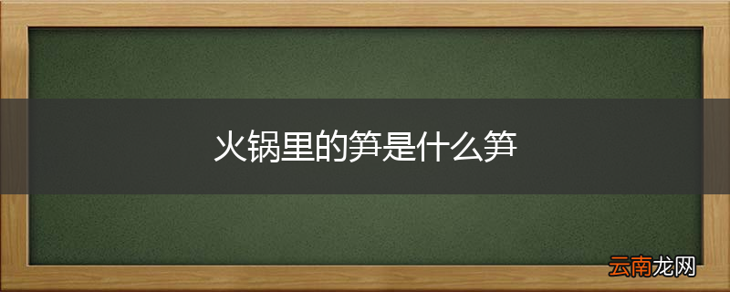 火锅里的笋是什么笋