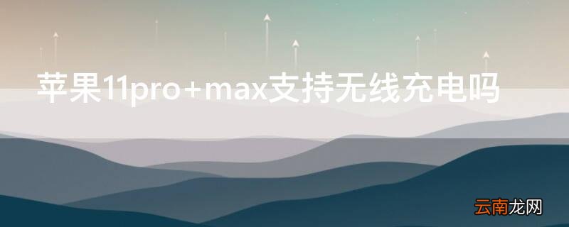 iPhone11pro iphone11pro是双卡吗