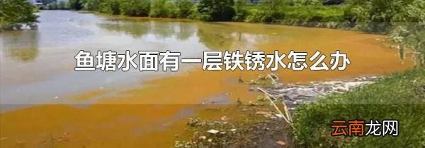鱼塘水面有一层铁锈水怎么办