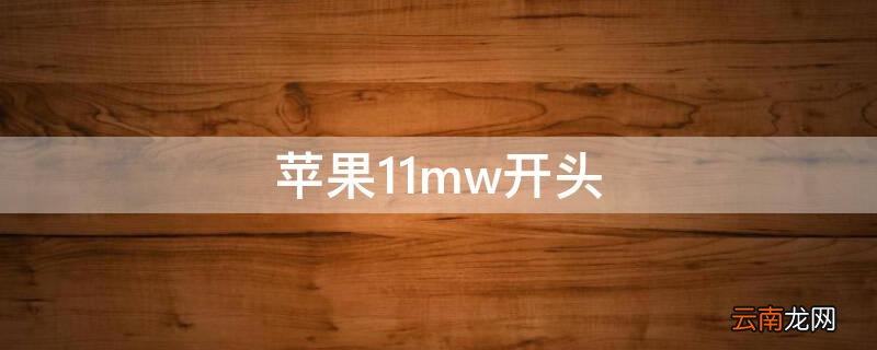 苹果11MW开头 iPhone11mw开头
