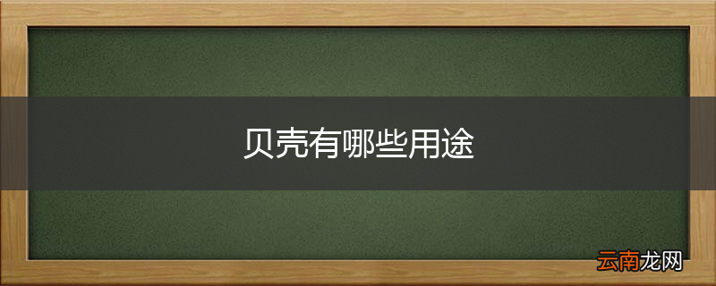 贝壳有哪些用途