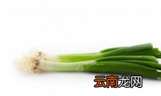 葱怎么种才碧绿 洋葱长的绿苗是葱吗