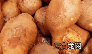 雪莲果要放冰箱里冷藏吗 雪莲果是否要放冰箱里冷藏