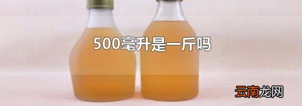 500毫升是一斤吗