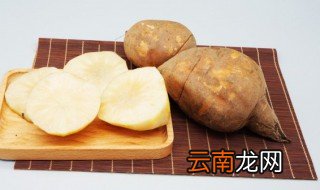 雪莲果怎么种才结果,雪莲果怎样栽种