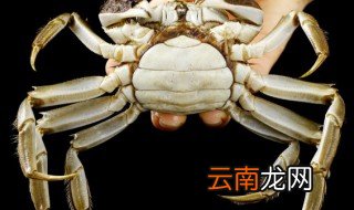 螃蟹需要蒸多久才可以熟 螃蟹要蒸多久能熟