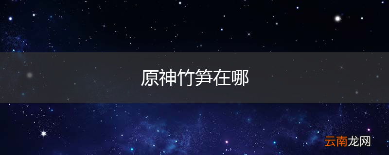 原神竹笋在哪