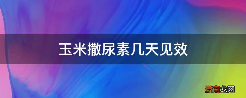 玉米撒尿素几天见效
