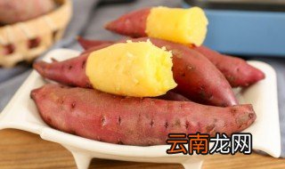 红苕怎么种才高产 红薯怎么栽种