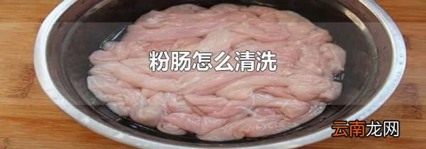 粉肠怎么清洗
