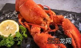 蒸龙虾要多久? 蒸龙虾要多久