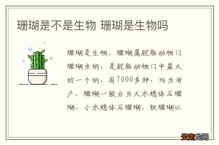 珊瑚是不是生物 珊瑚是生物吗