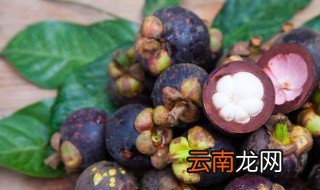 山竹的甜度 山竹怎么种才甜