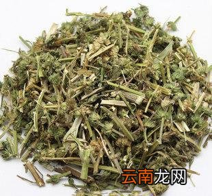 益母草既可治痛经还可美容
