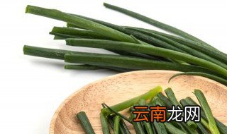 种葱怎么样才生长得好 种的葱怎么才能长得好