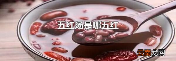 五红汤是哪五红