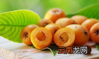 吃不完的枇杷怎么保存 如何保存枇杷