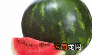 种西瓜怎么种才没有籽 西瓜籽怎么种才能种出西瓜