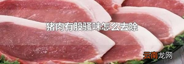 猪肉有股骚味怎么去除