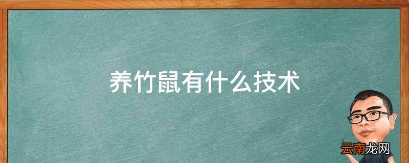 养竹鼠有什么技术
