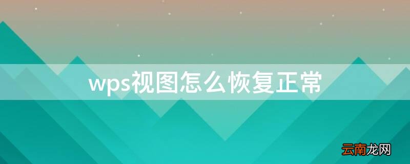 wps表格视图怎么恢复普通视图 wps视图怎么恢复正常