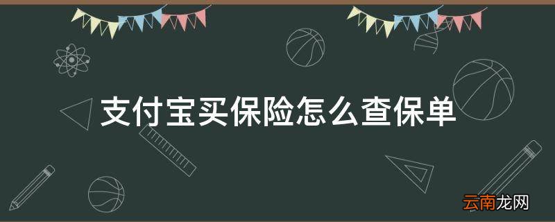 支付宝买保险怎么查保单
