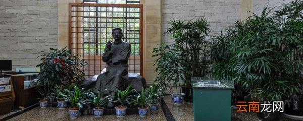 横眉冷对千夫指的理解 横眉冷对千夫指什么意思