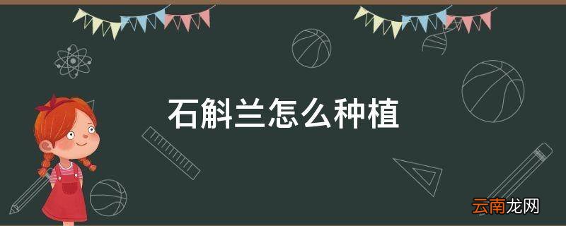 石斛兰怎么种植
