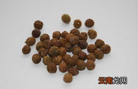 推荐梧桐子的用法 这样服用效果好