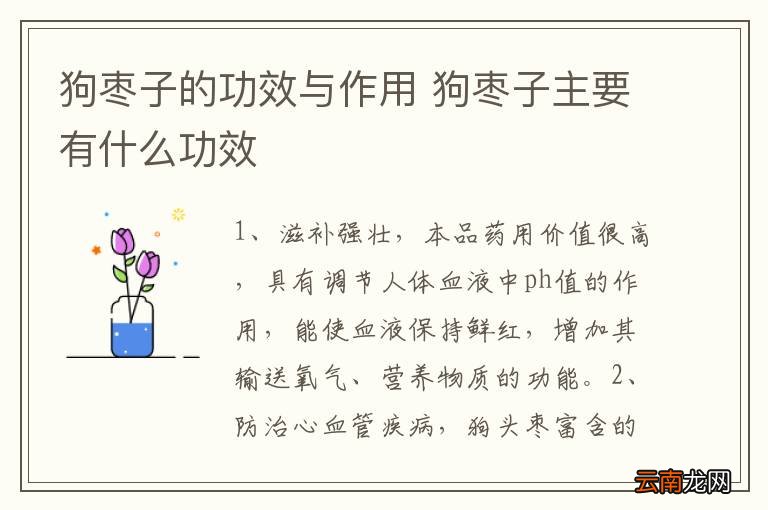 狗枣子的功效与作用 狗枣子主要有什么功效