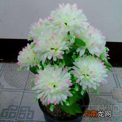 七夕送女朋友什么礼物？七夕送什么礼物好？