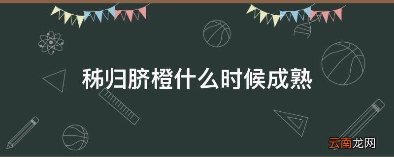 秭归脐橙什么时候成熟