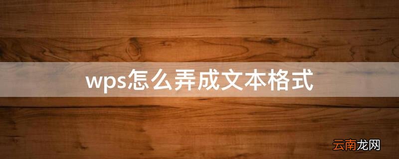 wps怎么弄成文本格式