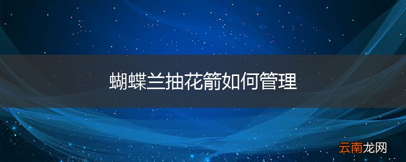 蝴蝶兰抽花箭如何管理