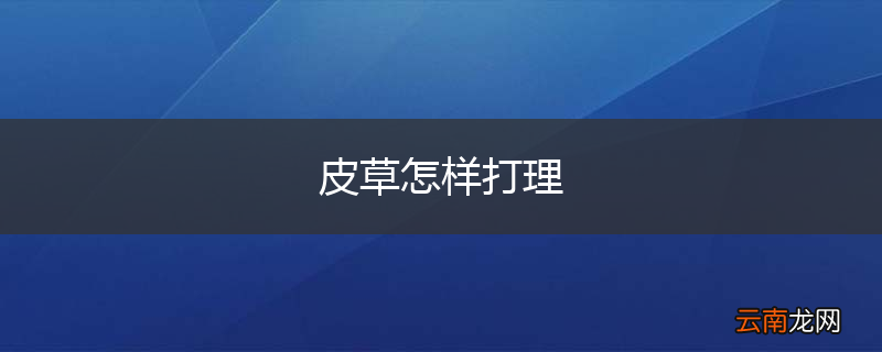 皮草怎样打理