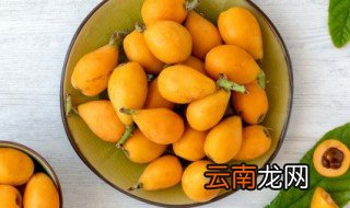 枇杷生长在哪里，枇杷生长在哪个地方