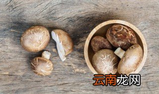 香菇油怎么做好吃又香的 香菇油怎么做好吃又香