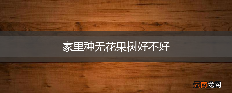 家里种无花果树好不好