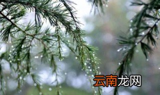 毛毛细雨像什么 毛毛细雨像啥