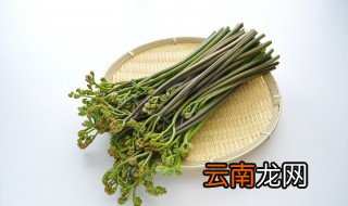 蕨菜长在哪里 蕨菜长什么样子?是长在什么地方的?