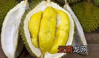 榴莲在什么季节成熟 榴莲什么时候是成熟季节