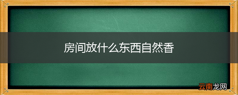 房间放什么东西自然香