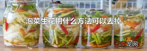 泡菜生花用什么方法可以去掉